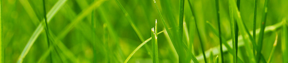 免费激活的秋思电话轰炸平台